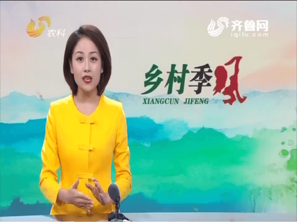 長毛兔——新絨兔，含絨量達(dá)80％，一斤絨毛一百二