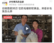 長(zhǎng)毛兔拔毛前后的管理